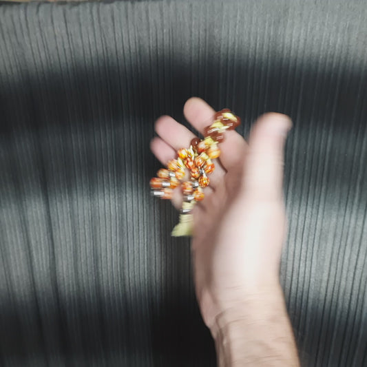 Chetki "Brown orange reptile"  (SCU: 250214-6)